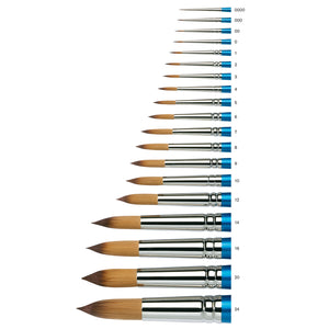 The Cotman Series 111 is for fine detail, lines and washes. The round is a traditional and popular head shape for all-purpose watercolour work. These brushes can be used for broad strokes but also form a sharp point.